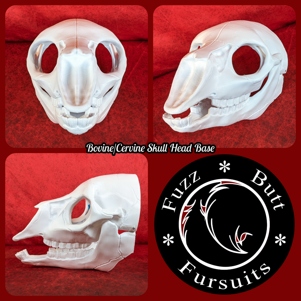 Bovine/Cervine Skull Head Base