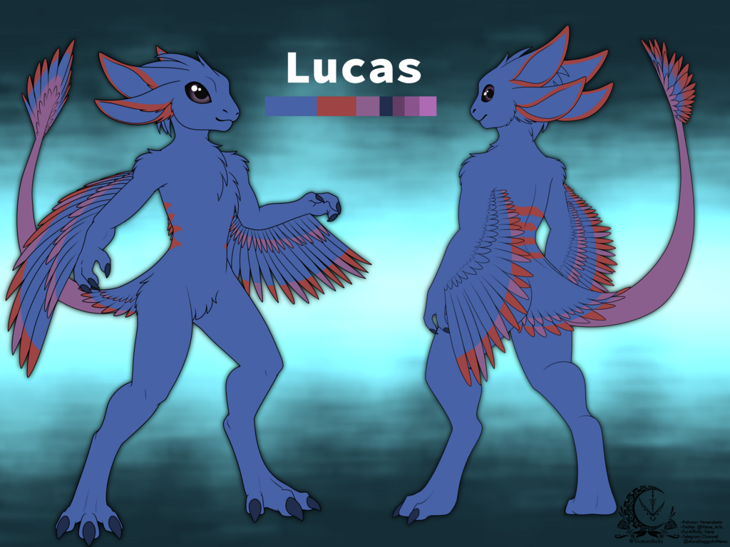 Most recent image: Lucas Avali reference sheet (by Vene)