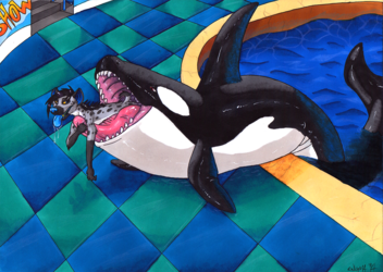 Enigma and the Orca