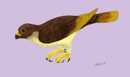 Commission: Carno-parrot