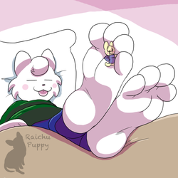 Gotchi Toes +Pet