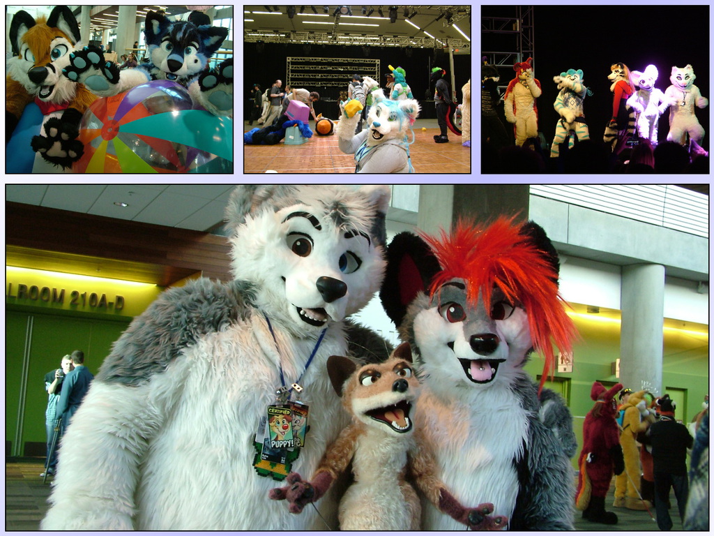 FC 2015 photos are up!