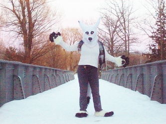 White Wolf Bridge 04