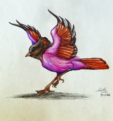 Fantasy Bird Sketchie