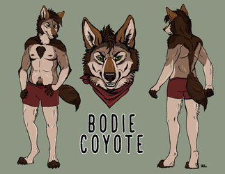 Bodie Coyote Reference Sheet