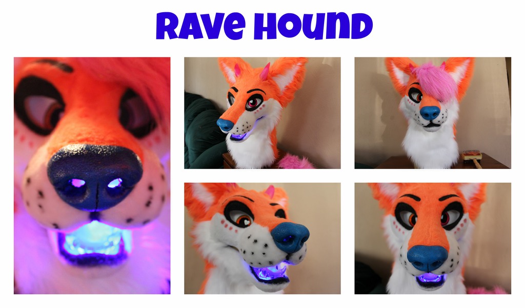 rave hound for sale