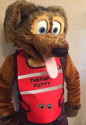 Therapy Puppy Vest