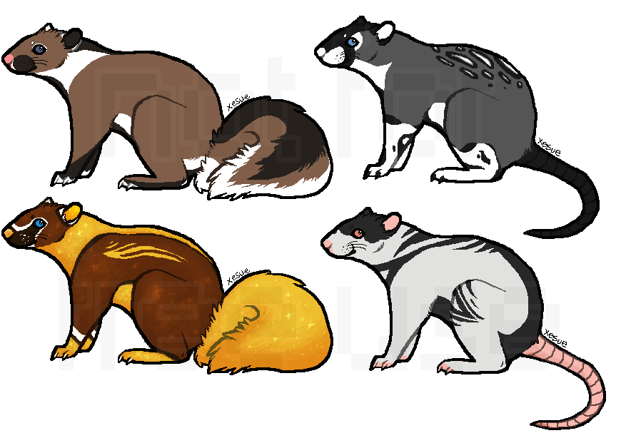 $3 rat and squirrel adopts (OPEN)