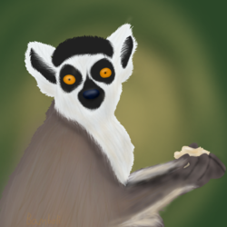 Lemur Lunch
