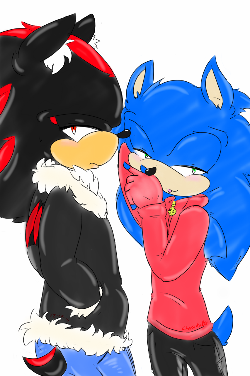 Sonic and Shadow jackets