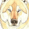 avatar of Goldenwolf