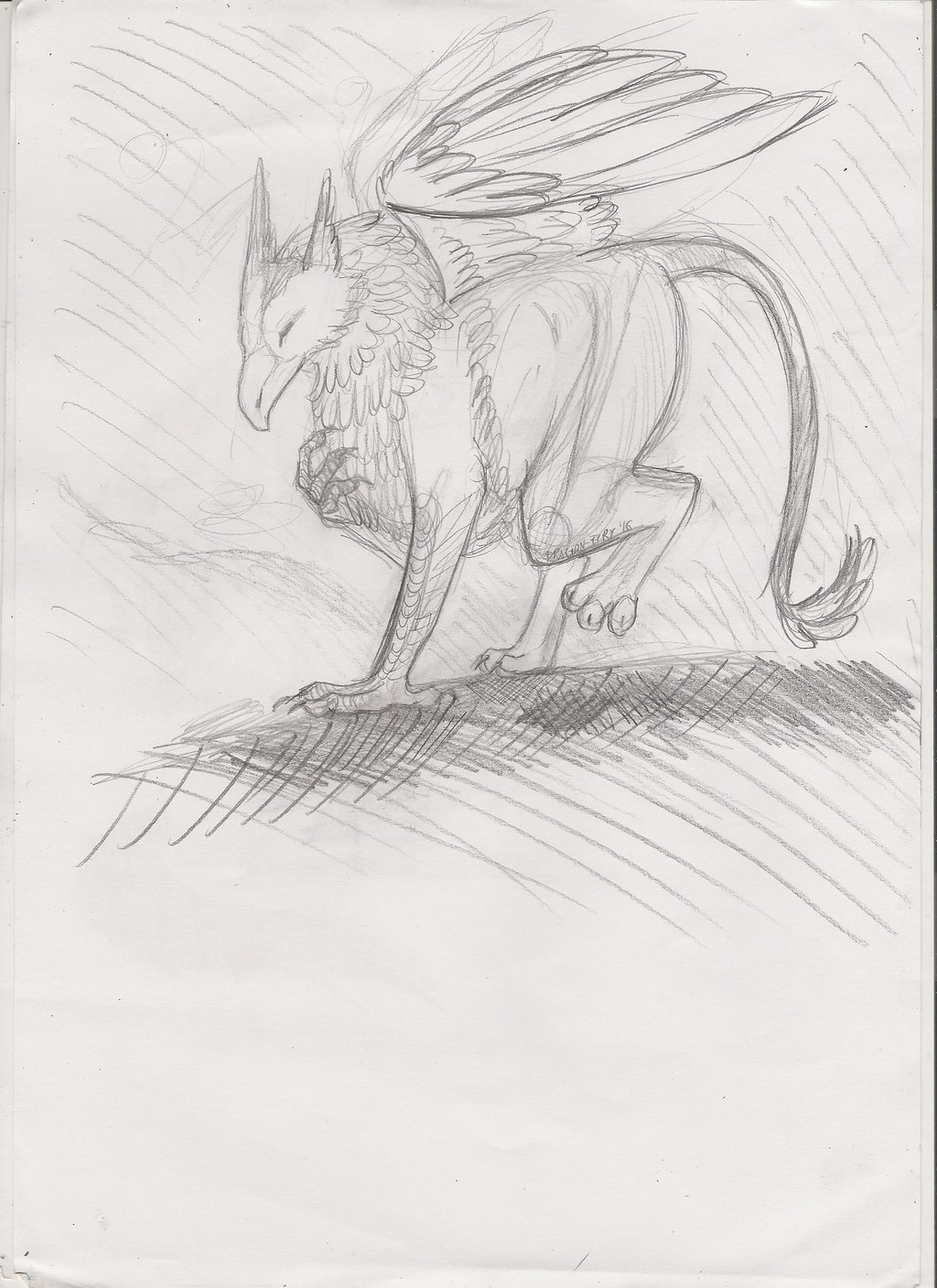 Griffin sketch