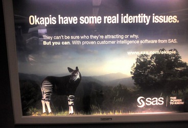 Okapi - Identity issues?