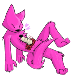 a kat and his grub