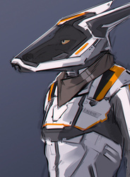Ranger frontier suit