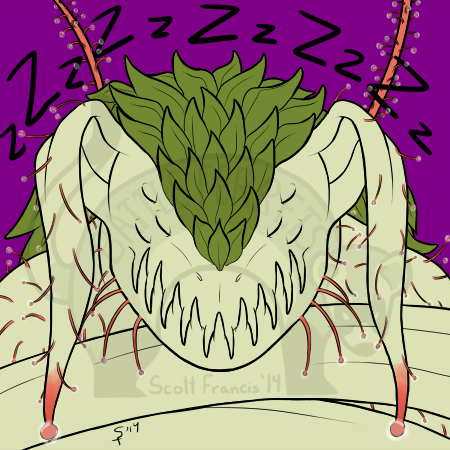 Sleeping sundew (Art by BattleFerrets)