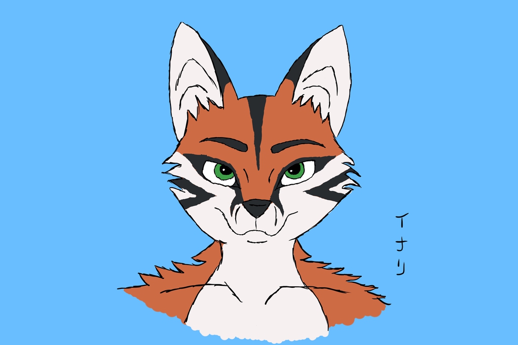 Inarifox Front View Face Markings (Rough Sketch)