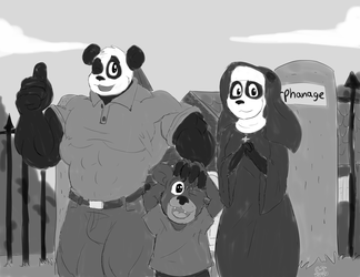 Patreon: Panda Siblings at Orphanage