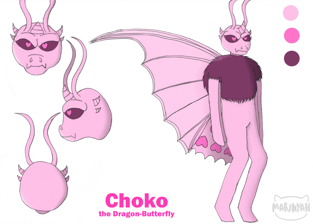 Choko - reference sheet