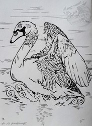 [Indian Ink art] Swan