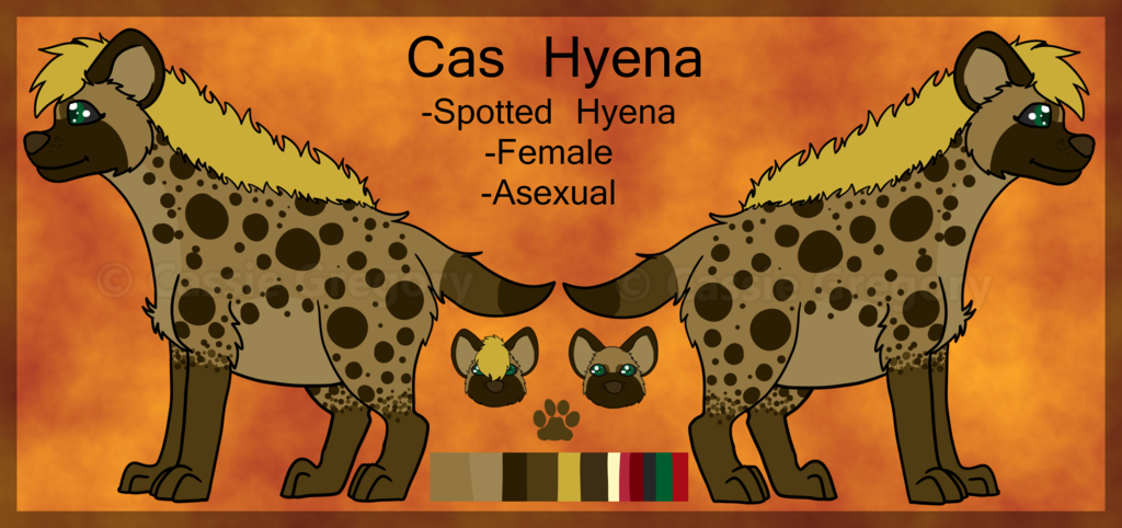 Most recent image: Cas Hyena Reference 2016