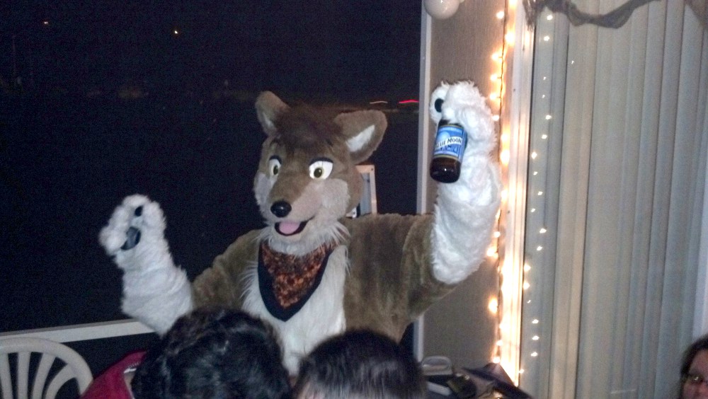 Dingo has beer!