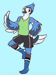 Commission - A Pair of Blue Jay Socks