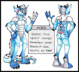 Ref sheet for Acro