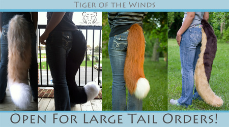 Open for 3 Large Tail Commissions
