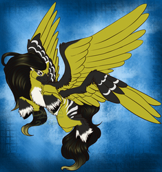 [MLP] Unnamed Pegasus