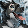 avatar of thewolfguy5