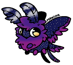Starry Moth