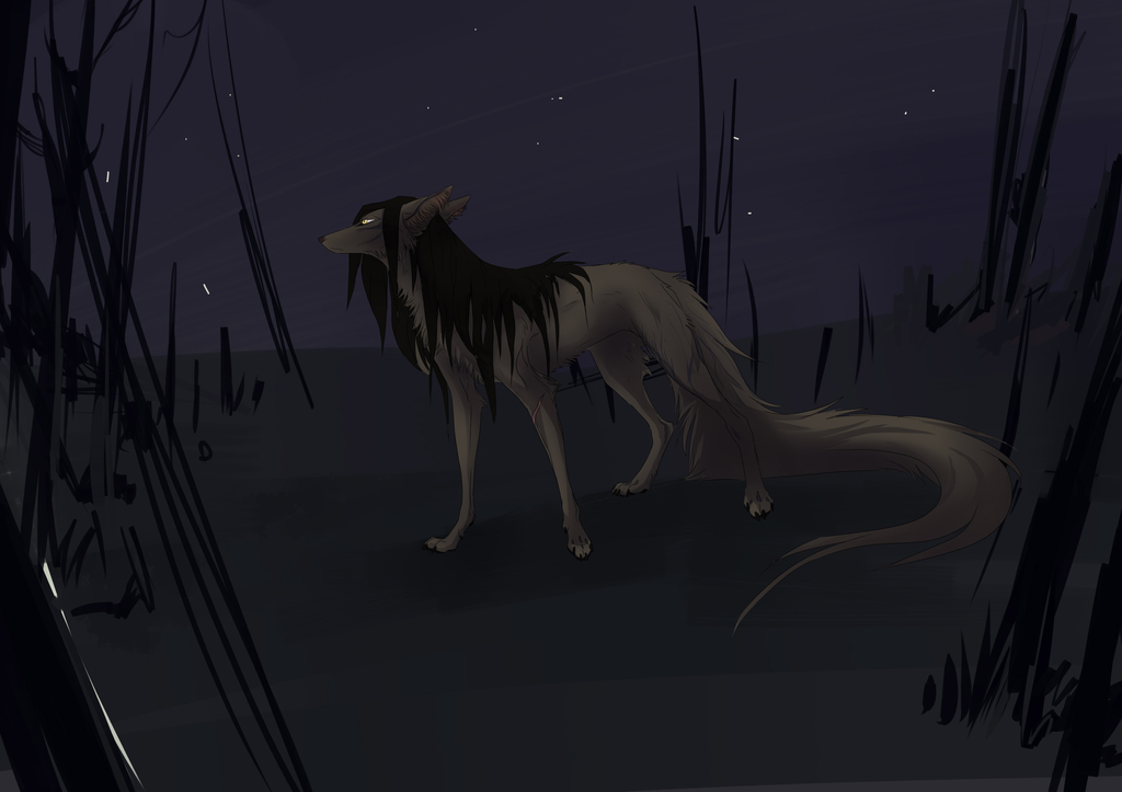 Most recent image: night wip