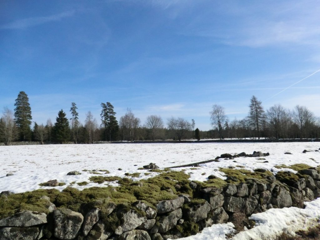 Småland Landscape March 2013