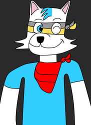 Request for FoxMcCloudGamer