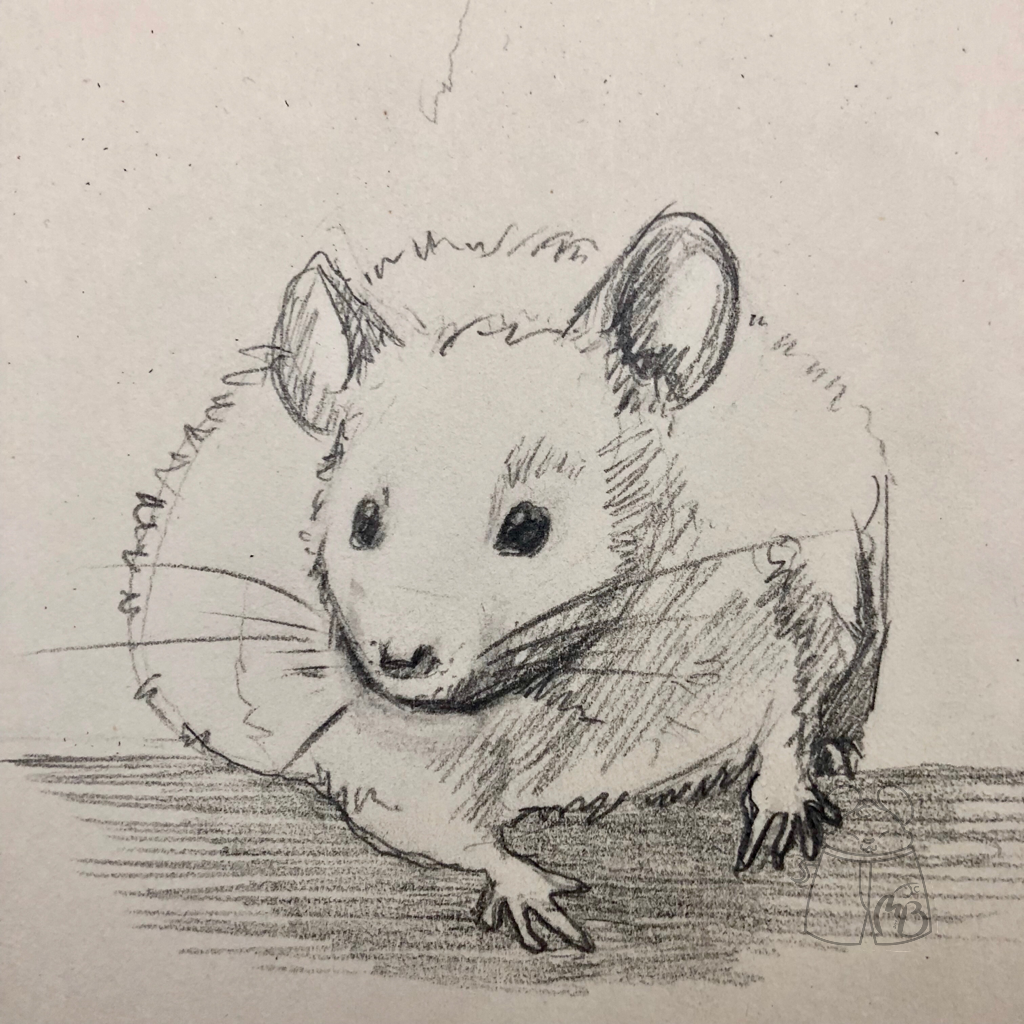 Mouse from reference.