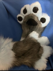 Puddles Paws