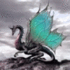 avatar of DragonNoMike
