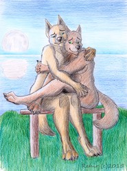 Canine Couple in Moonlight