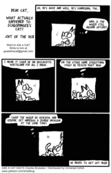 2015 Ask a Cat - Schrödinger's cat (9/10)