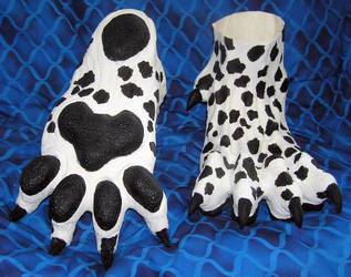 Dalmatian paws