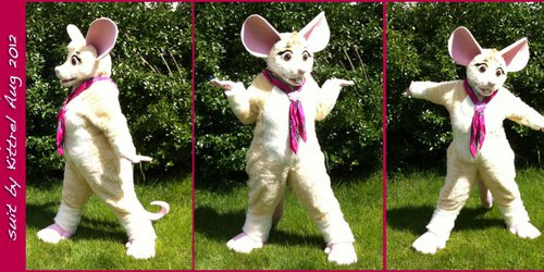 Brie the mouse - fursuit and write-up!