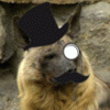 avatar of hyenafur