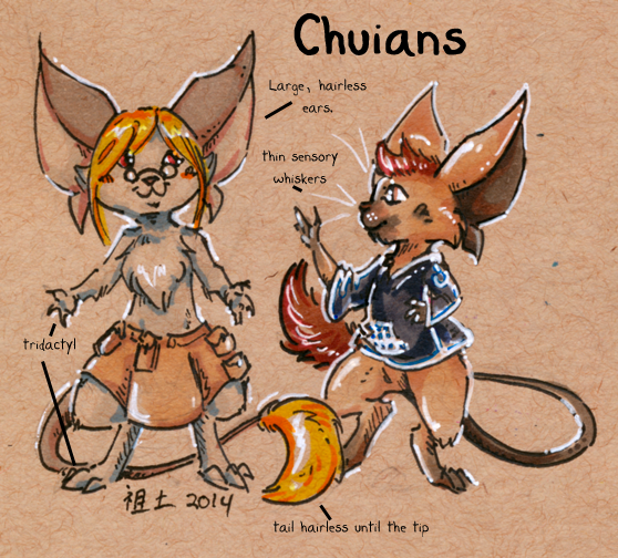 [inhuman] all about Chuians