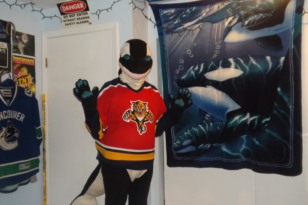 Me in fursuit wearing my new hockey jersey. :)
