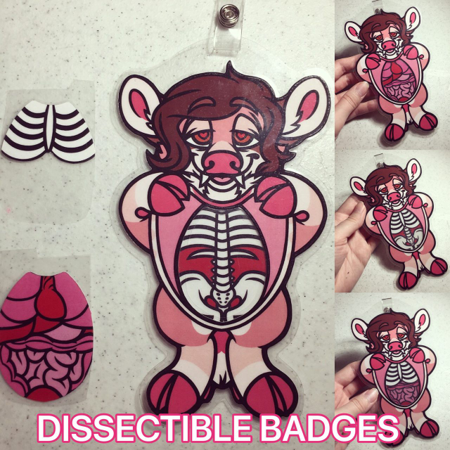 NEW: DISSECTIBLE BADGES (OPEN)