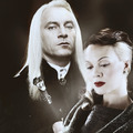 The Wedding of Lucius and Narcissa