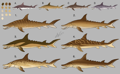Tusked Shark: Colour/Marking Designs 2