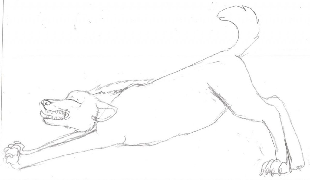 Hyena Sketch