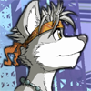 avatar of Wolf Pup TK